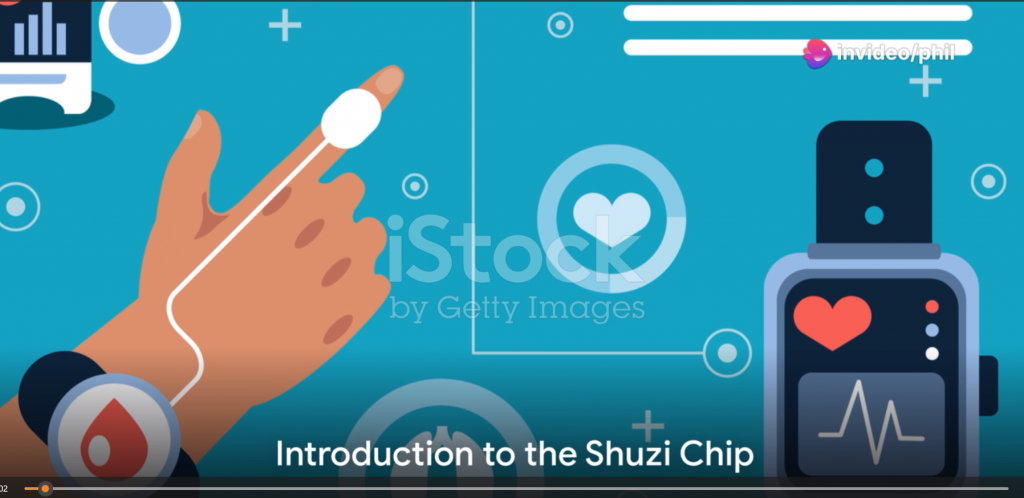 Video of Shuzi Chip